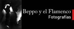 Imagen del evento Beppo y el Flamenco. Fotografías