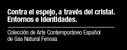 Imagen del evento Contra el espejo, a través del cristal. Entornos e identidades