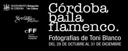 Imagen del evento 'Córdoba baila flamenco'