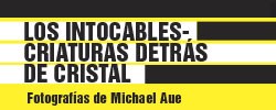 Imagen del evento Los Intocables-Criaturas detrás de Cristal. Fotografías de Michael Aue